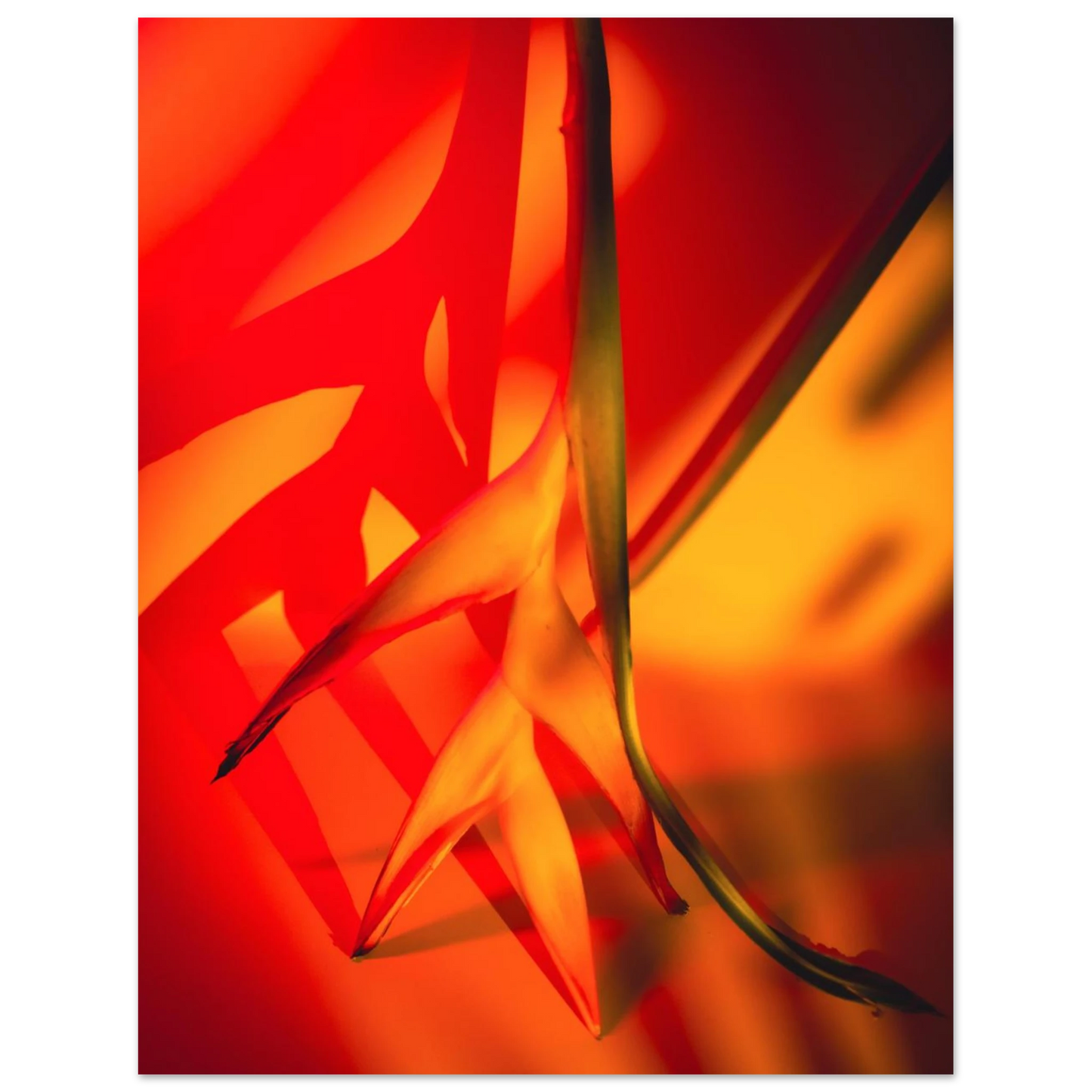 4ba6b0ec-8e1f-4b72-9197-e3cdcb54c911