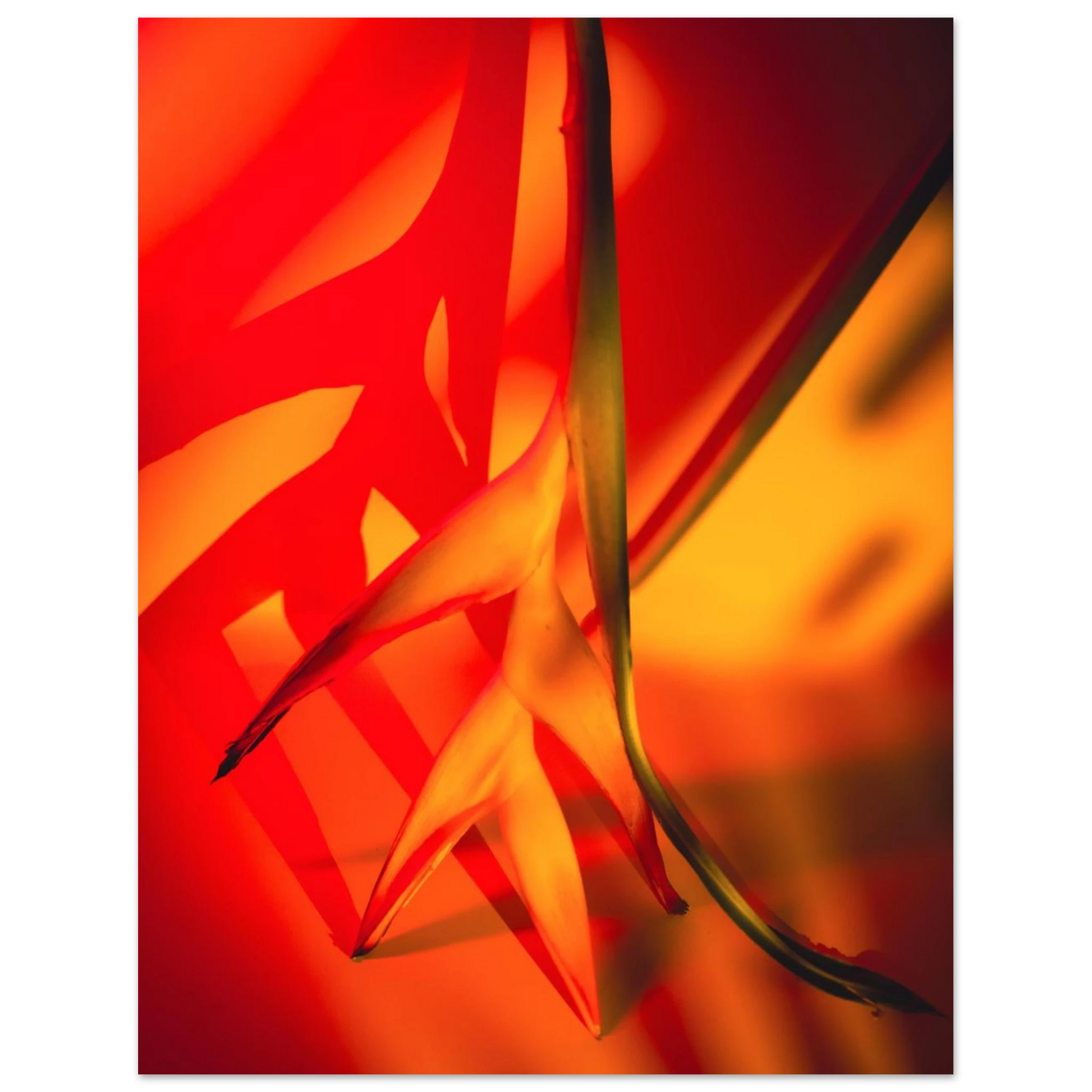 4ba6b0ec-8e1f-4b72-9197-e3cdcb54c911
