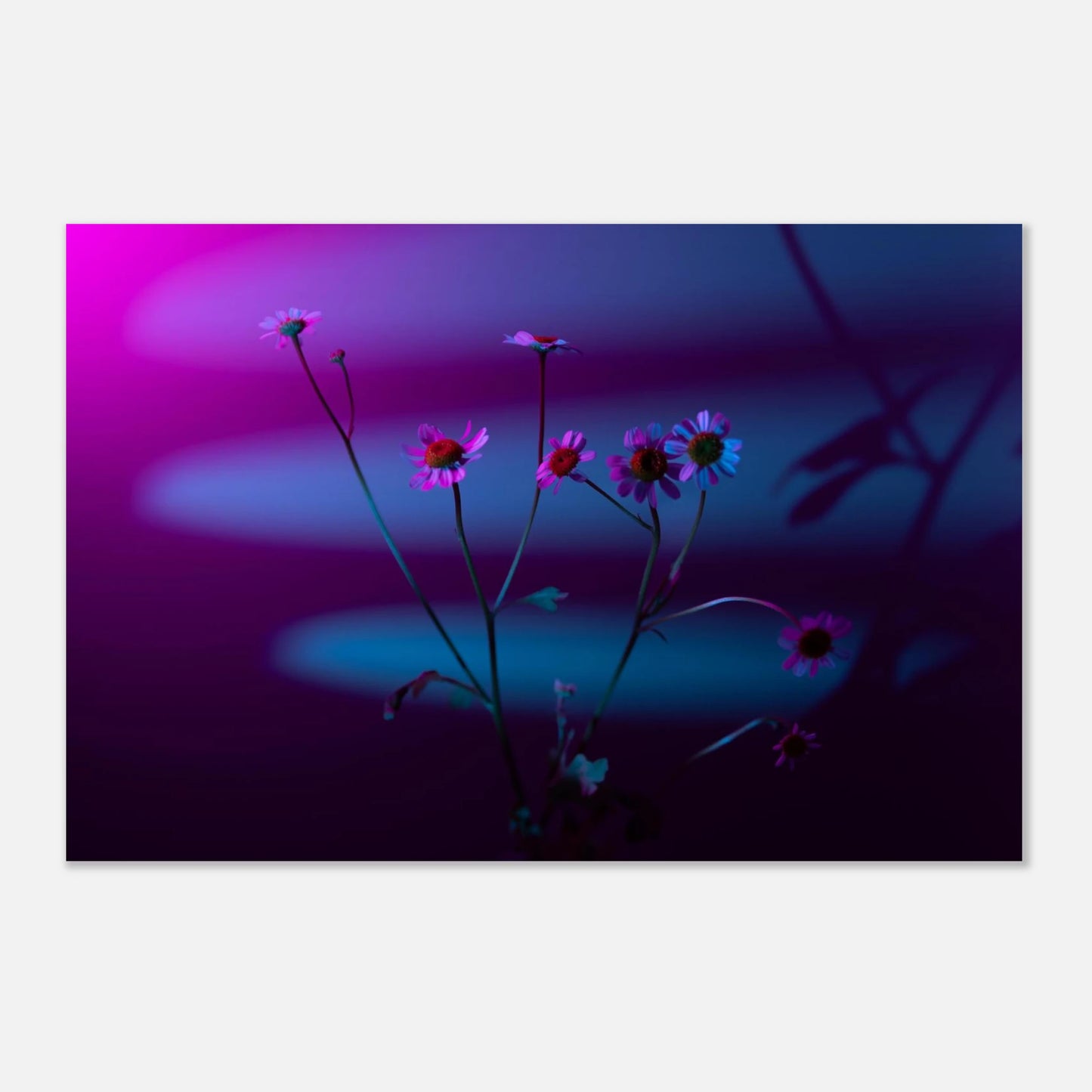 da12330e-4292-40e0-b0c0-bbb030a5f9d0